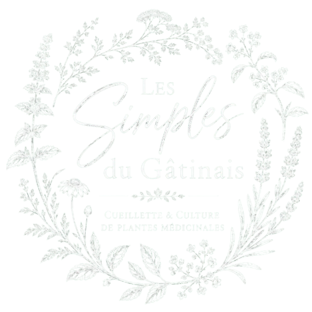 Logo Les Simples du Gatinais