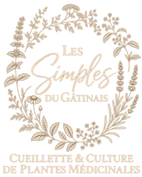 Logo Les Simples du Gatinais